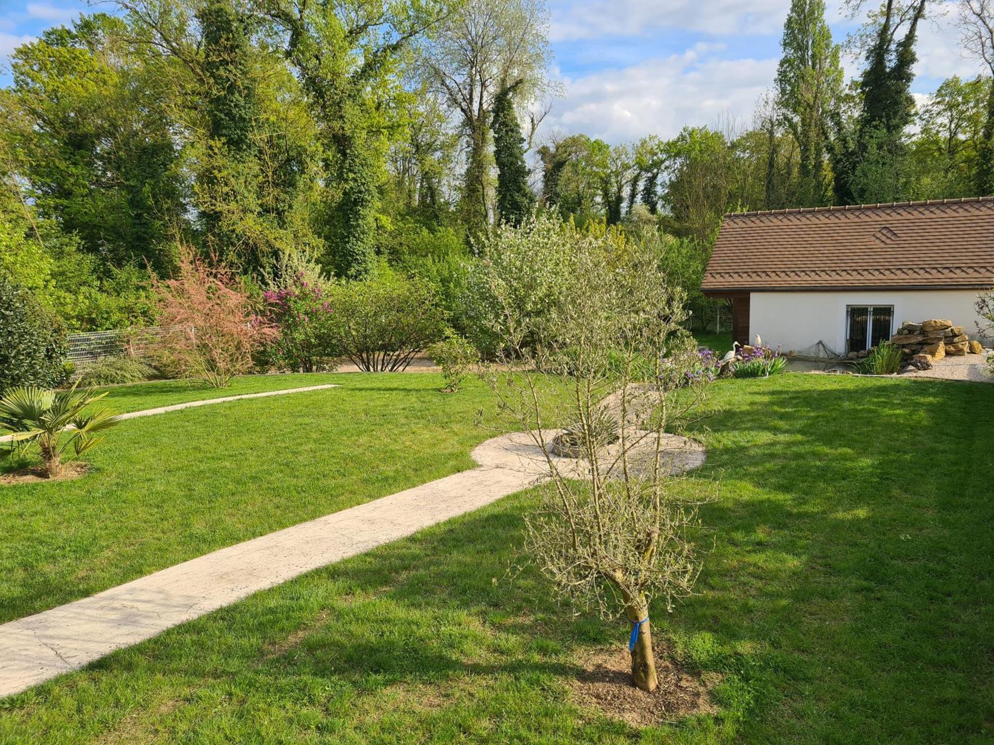 Ferienwohnung Chez Jaja Et Phiphi Bourg-et-Comin Exterior foto